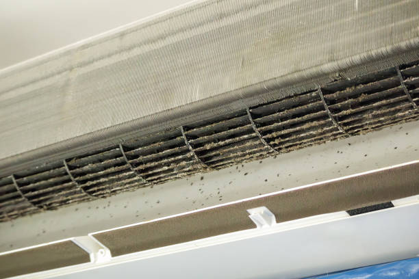 Best Affordable Duct Cleaning Services  in Baiting Hollow, NY